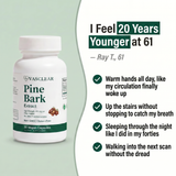 Pine Bark Extract